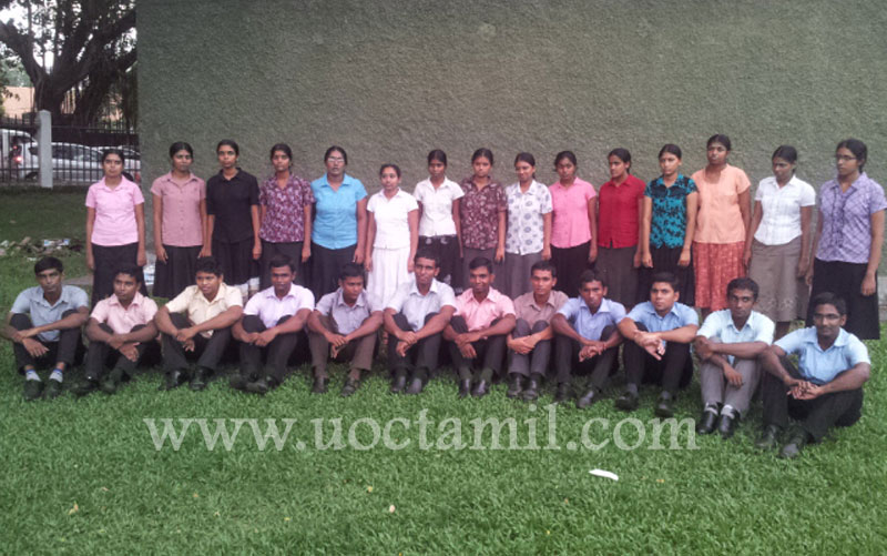Batch 11/13